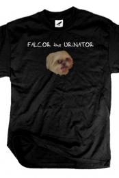 Falcor