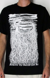 Roots
