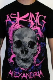 Snake Skull