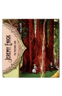 Jeremy Enigk - The Missing Link