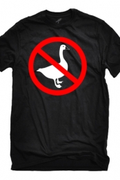 Kickinggeese