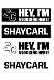 Bumper Stickers (4 pack)