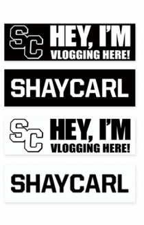 Bumper Stickers (4 pack)