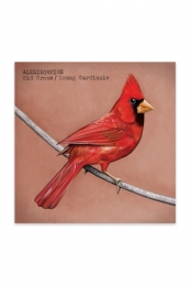 Old Crows/ Young Cardinals