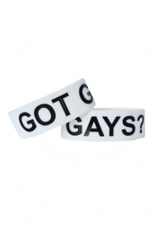 Got Gays?