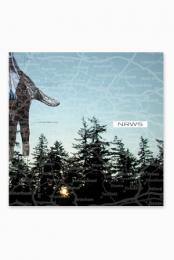 New Distances