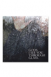 I See You Through Glass