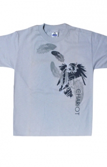 Feather (The Chariot) 
