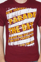 Stripe Logo (Maroon)