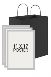 Grab Bag (3 11x17 Poster)