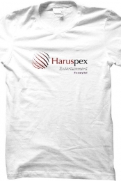 Haruspex Entertainment L...