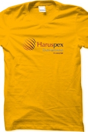 Haruspex Entertainment L...