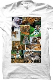 Tiger shirt