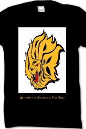 University of Arkansas at Pine Bluff