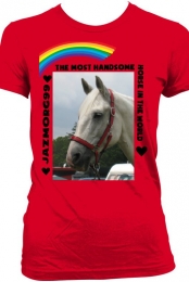 the best horse ever !!!