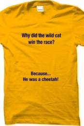 Cheetah!