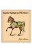 Gift Horse