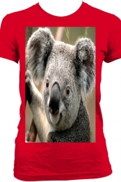 My Awesome Product