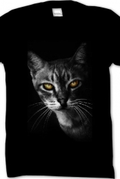 Kitty Cat :3