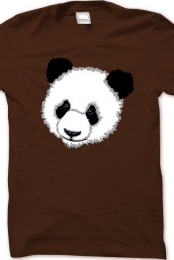 PANDI