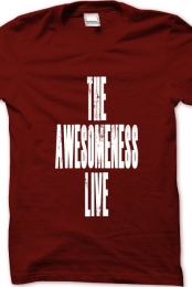 My Awesome Product