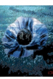 BlackPearlOfChaos