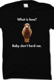 What is Love? (Black Crew)