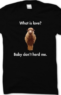 What is Love? (Black Crew)