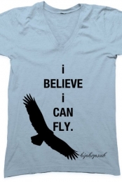 fly.
