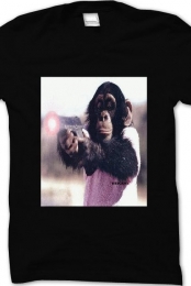 Plain Chip T