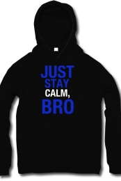 JUST STAY CALM BRO HOODIE