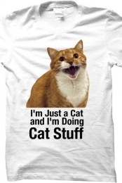 Mylo1 Cat Stuff