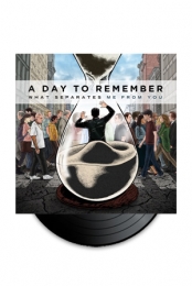 What Separates Me From You Vinyl