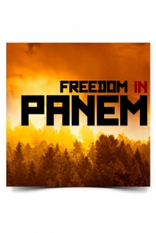 Freedom in Panem