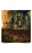 Fire From The Sky CD