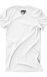 JITP Logo (White): Top5_back.jpg
