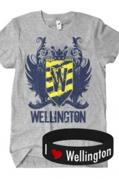 Logo T-Shirt + Bracelet Package (Grey)