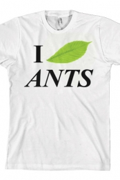 Ants
