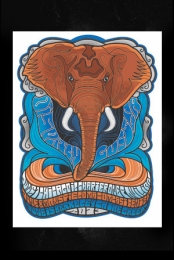 Guster/Dispatch Commemorative Art Print