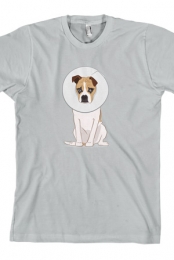 Goose Cone (Silver)