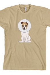 Goose Cone (Tan)