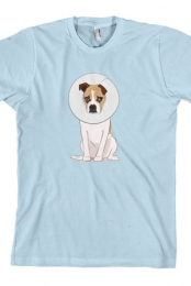 Goose Cone (Light Blue)