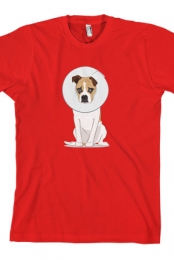 Goose Cone (Red)