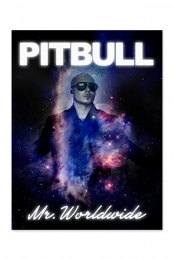 Mr. Worldwide Poster